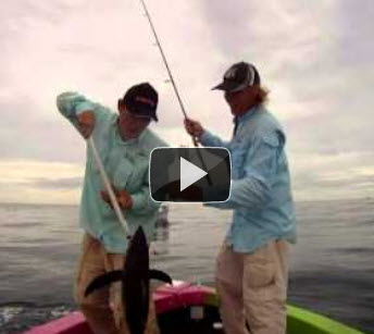 Tuna Fishing Palm Beach Video