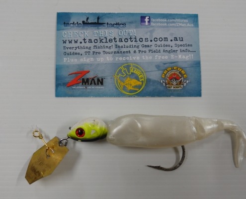 Gold Coast Sport Fishing Club with Mick Horn Mangrove Jack